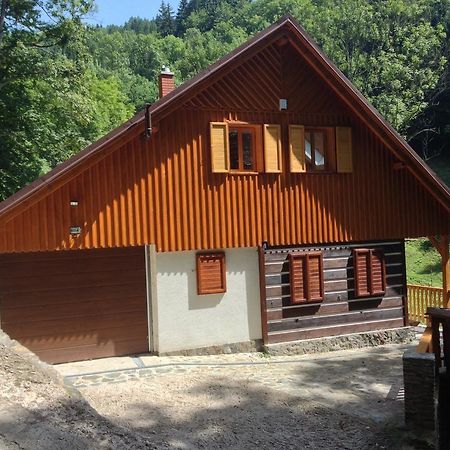 Chata Hokejka Rokytnice nad Jizerou Exterior foto