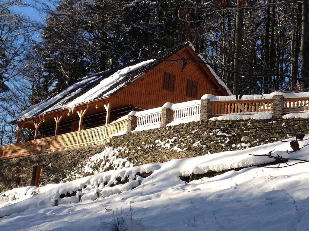 Chata Hokejka Rokytnice nad Jizerou Exterior foto