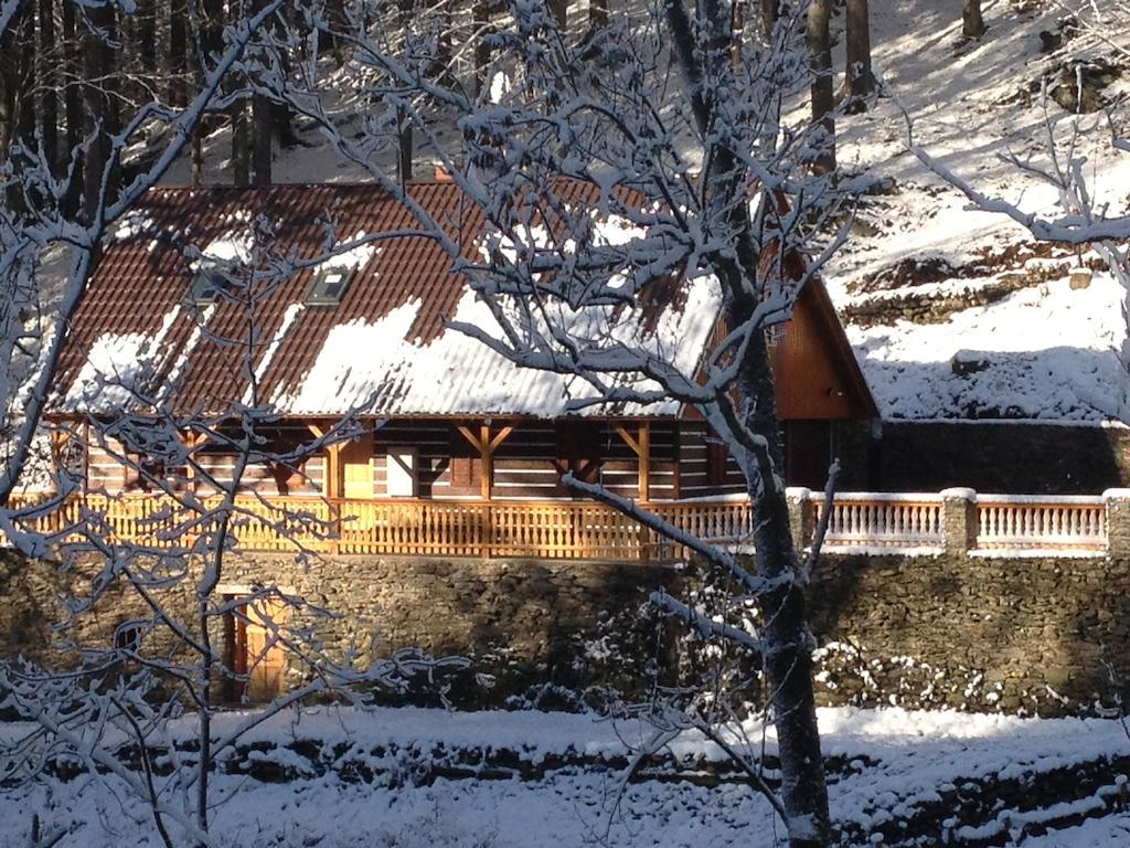 Chata Hokejka Rokytnice nad Jizerou Exterior foto