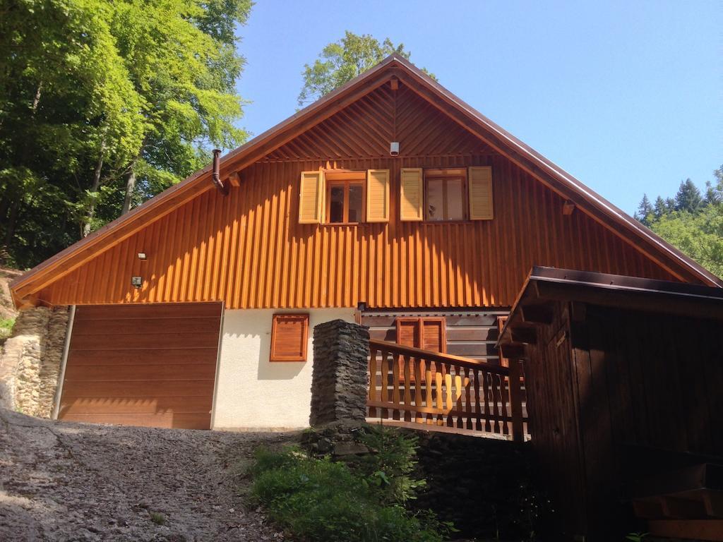 Chata Hokejka Rokytnice nad Jizerou Exterior foto
